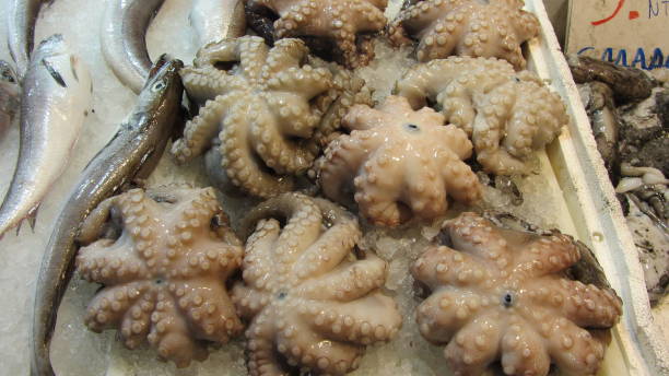 Cazuela de Mariscos Colombiana