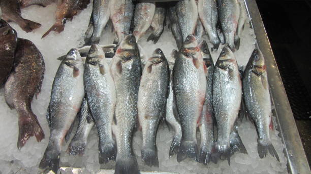 Pescado Azul