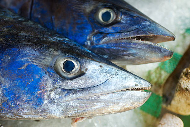 Pescado Azul