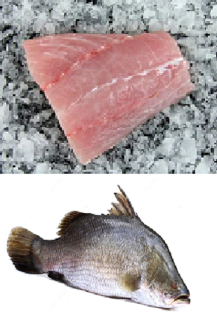Filete de Mero