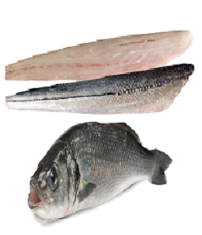 Filete de Róbalo
