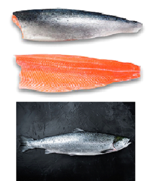Filete de Salmón