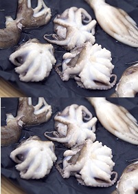 Pulpo Baby