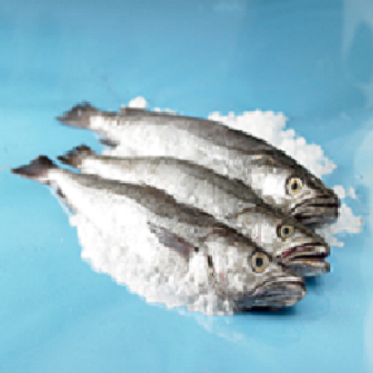 Filete de Merluza
