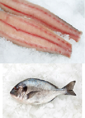 Filete de Dorado